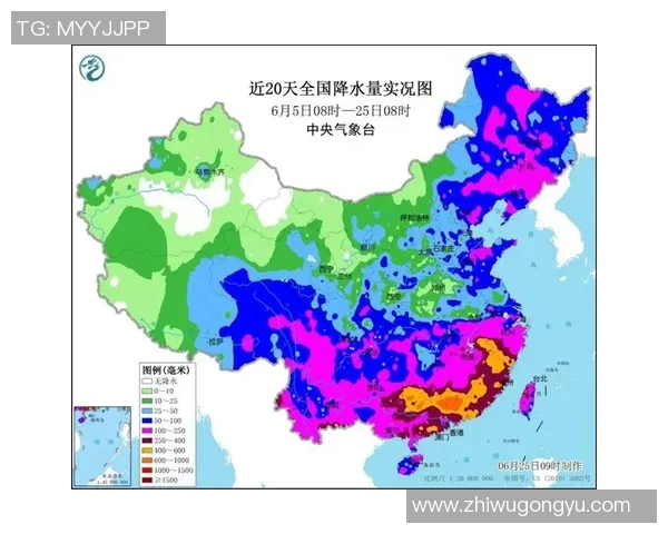 岐阜与德岛的对决分析及赛季表现比较探讨