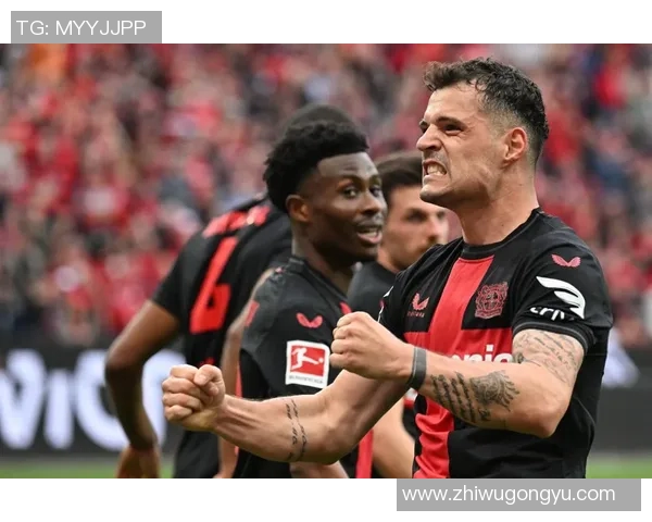 勒沃库森势如破竹，德甲争冠前景一片光明