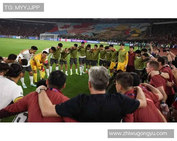 央视热评香港足球赛事直播精彩瞬间与球迷互动回顾